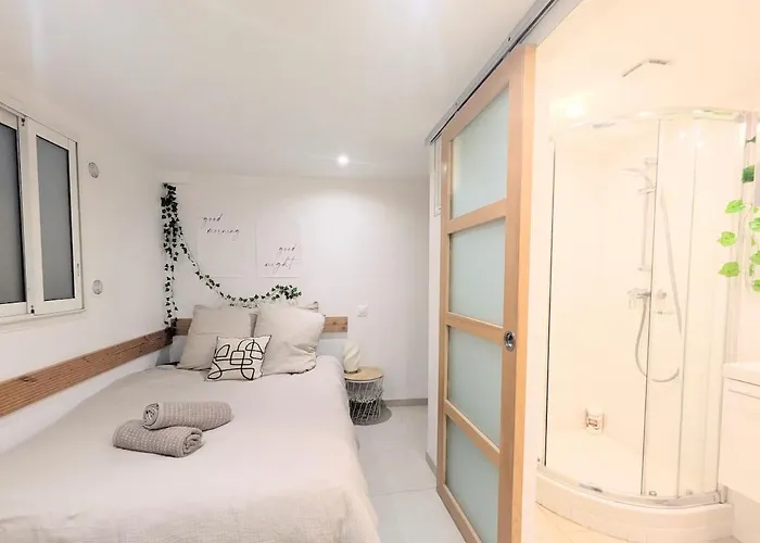 Apartment Souplex En Pierre L 2l4pers L Proche Centre Et Tram