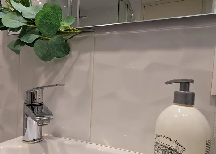 Souplex En Pierre L 2l4pers L Proche Centre Et Tram Apartment