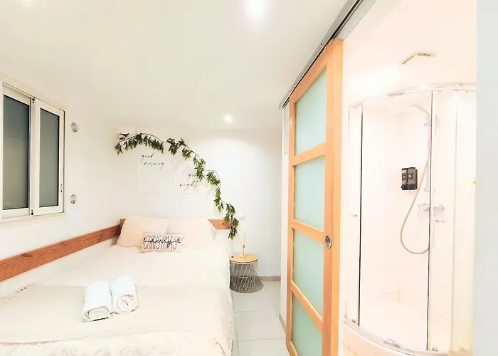 Souplex En Pierre L 2l4pers L Proche Centre Et Tram