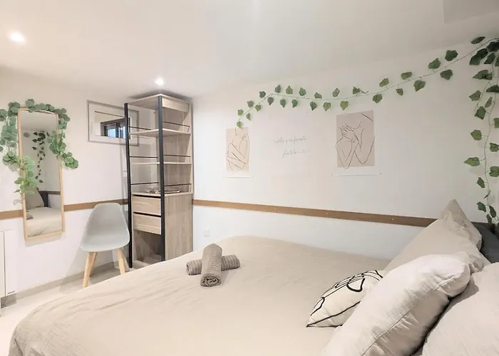 Daire Souplex En Pierre L 2l4pers L Proche Centre Et Tram *