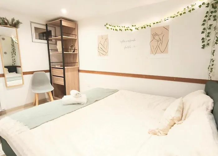 Daire Souplex En Pierre L 2l4pers L Proche Centre Et Tram